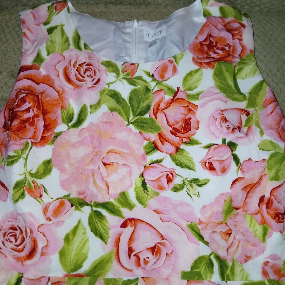Floral Sleeveless Dress.The Children's Place Girls Dress Size 2x - Picture 2 of 4